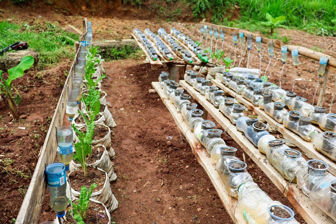 Riciclo creativo per il giardinaggio